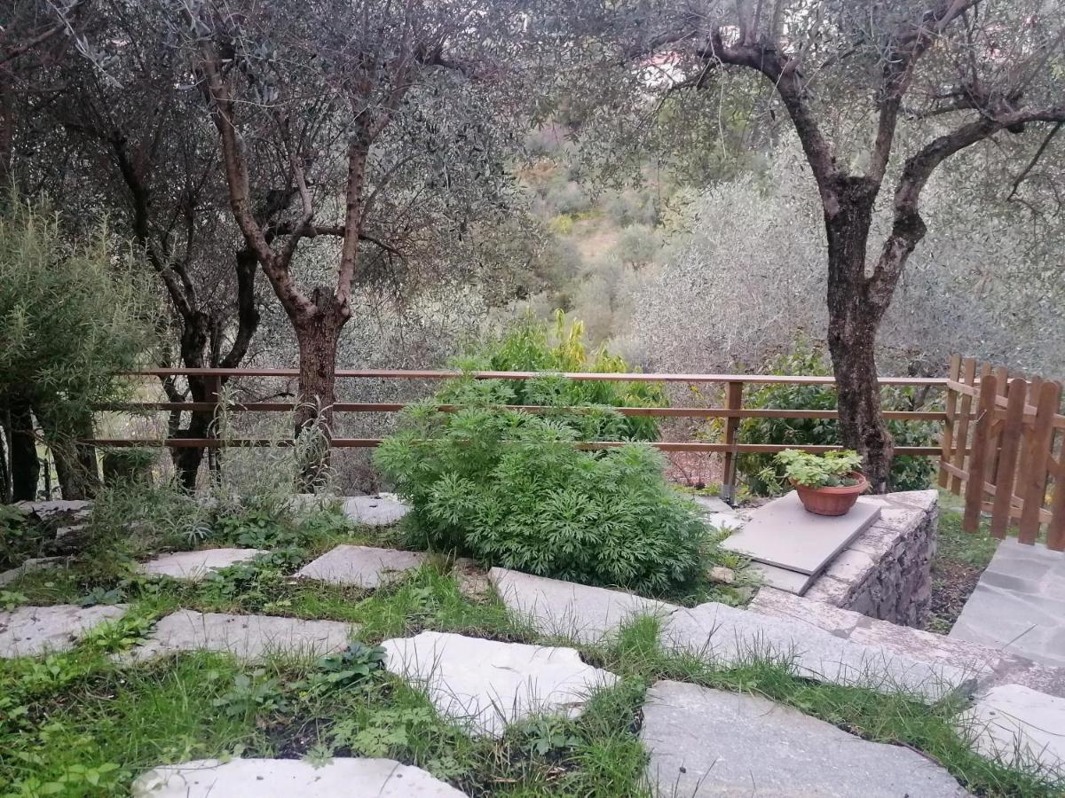 Nonna Paola Guest House Leivi Bagian luar foto